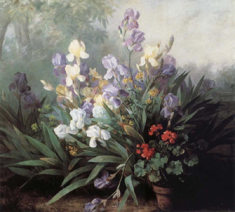 Barbara Bodichon Landscape with Irises oil painting image